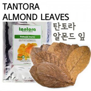 탄토라 알몬드 잎 M (10장)
