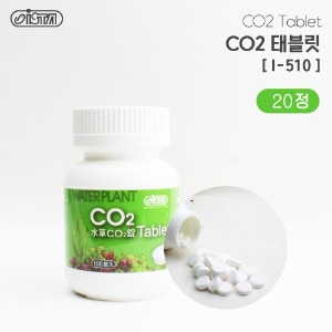 이스타 CO2 정제알(20정분할)
